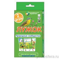 ЗК. Окружающий мир. Лужок